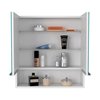 Tuhome Jaspe Mirror Cabinet, Three Internal Shelves, One Open Shelf, Double Door Cabinet, White GLB5550
